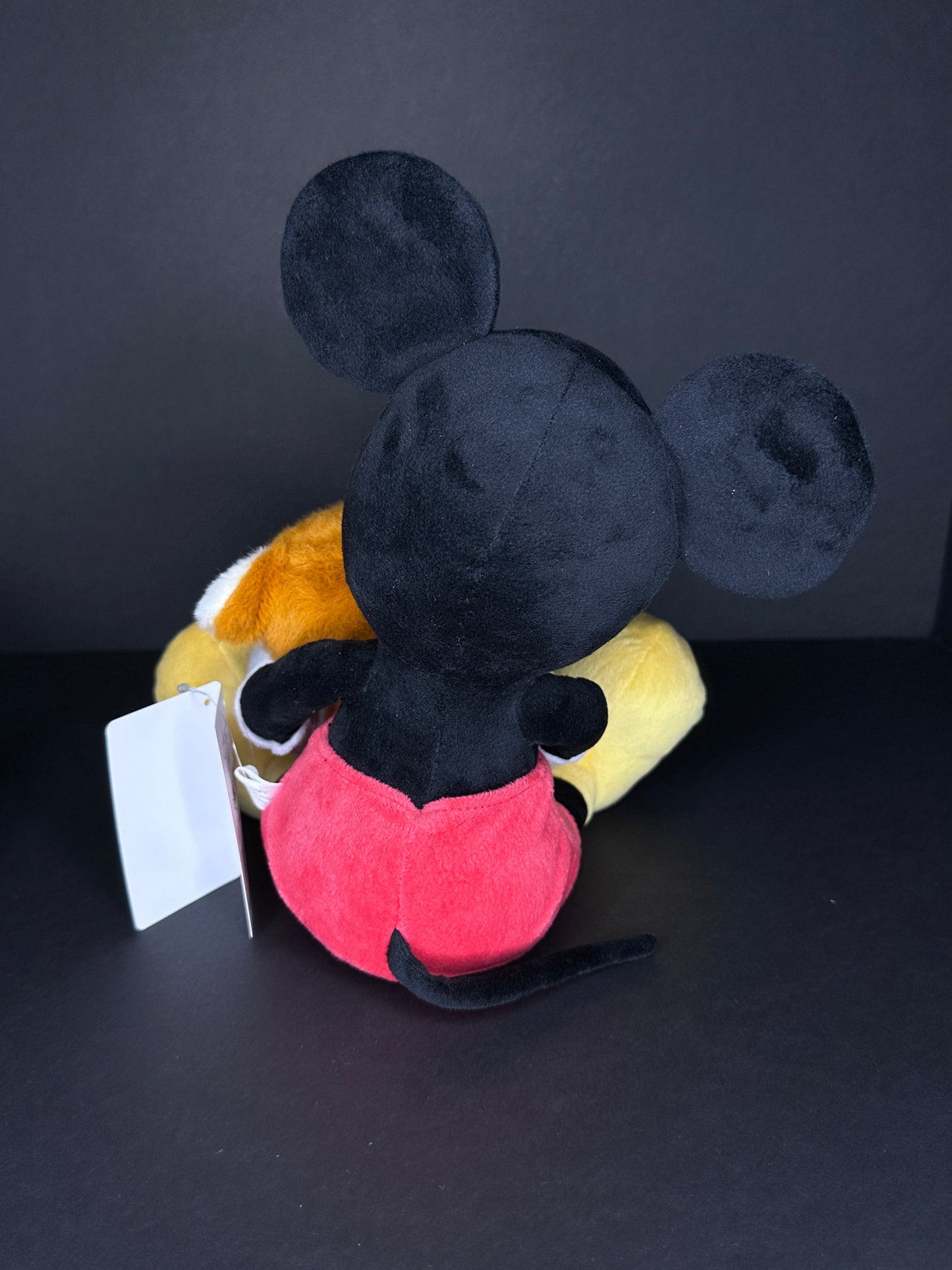 Mickey Mouse with Hachiko Plush - Disney Store Shibuya Exclusive
