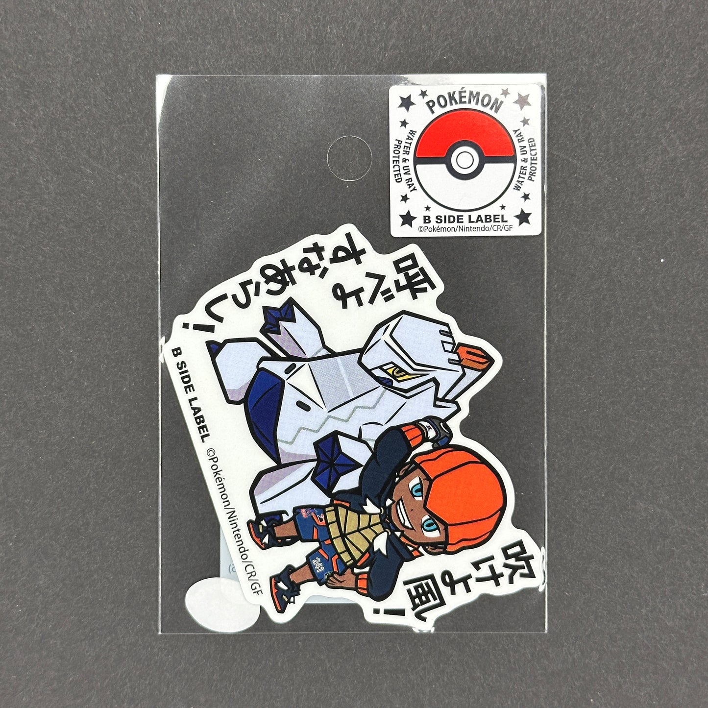 Pokémon - Raihan & Duraludon - B-Side Label Collab Sticker