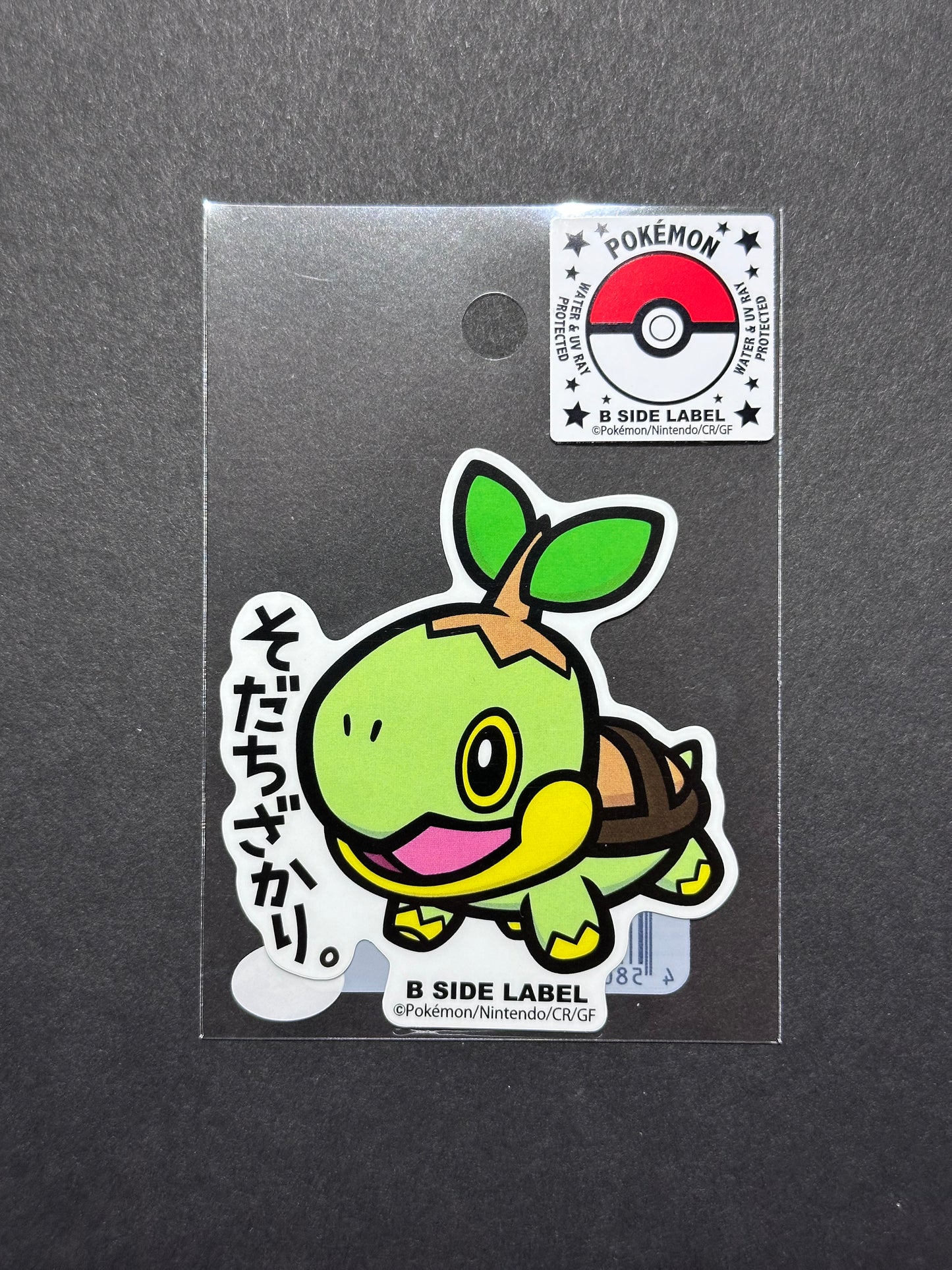 Pokémon - Turtwig - B-Side Label Collab Sticker