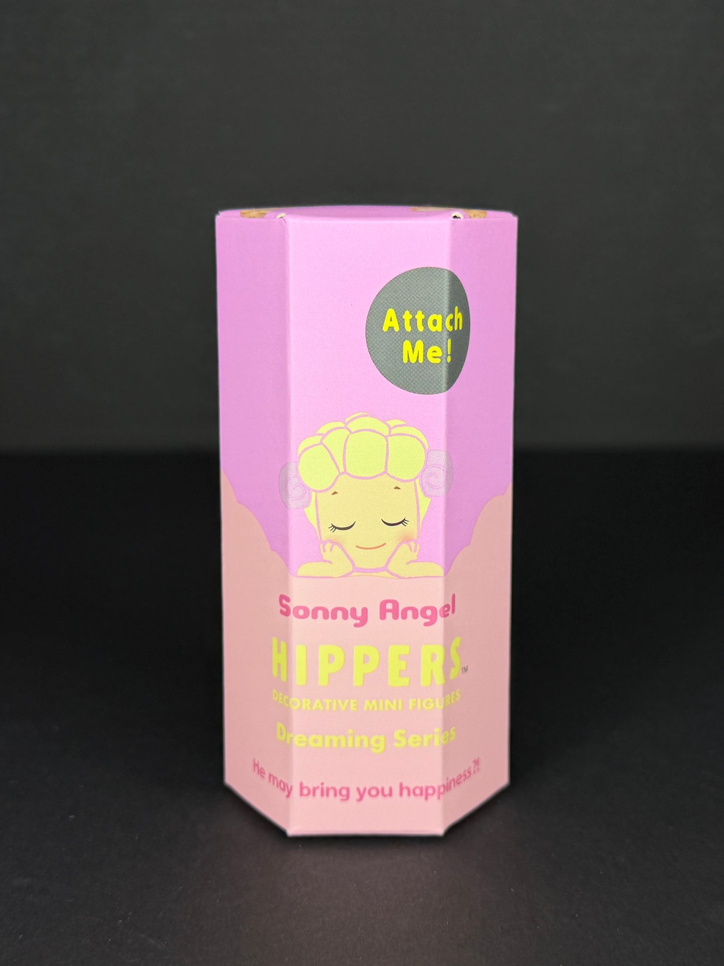 HIPPERS Sonny Angel Dreaming Series (Blind Box)