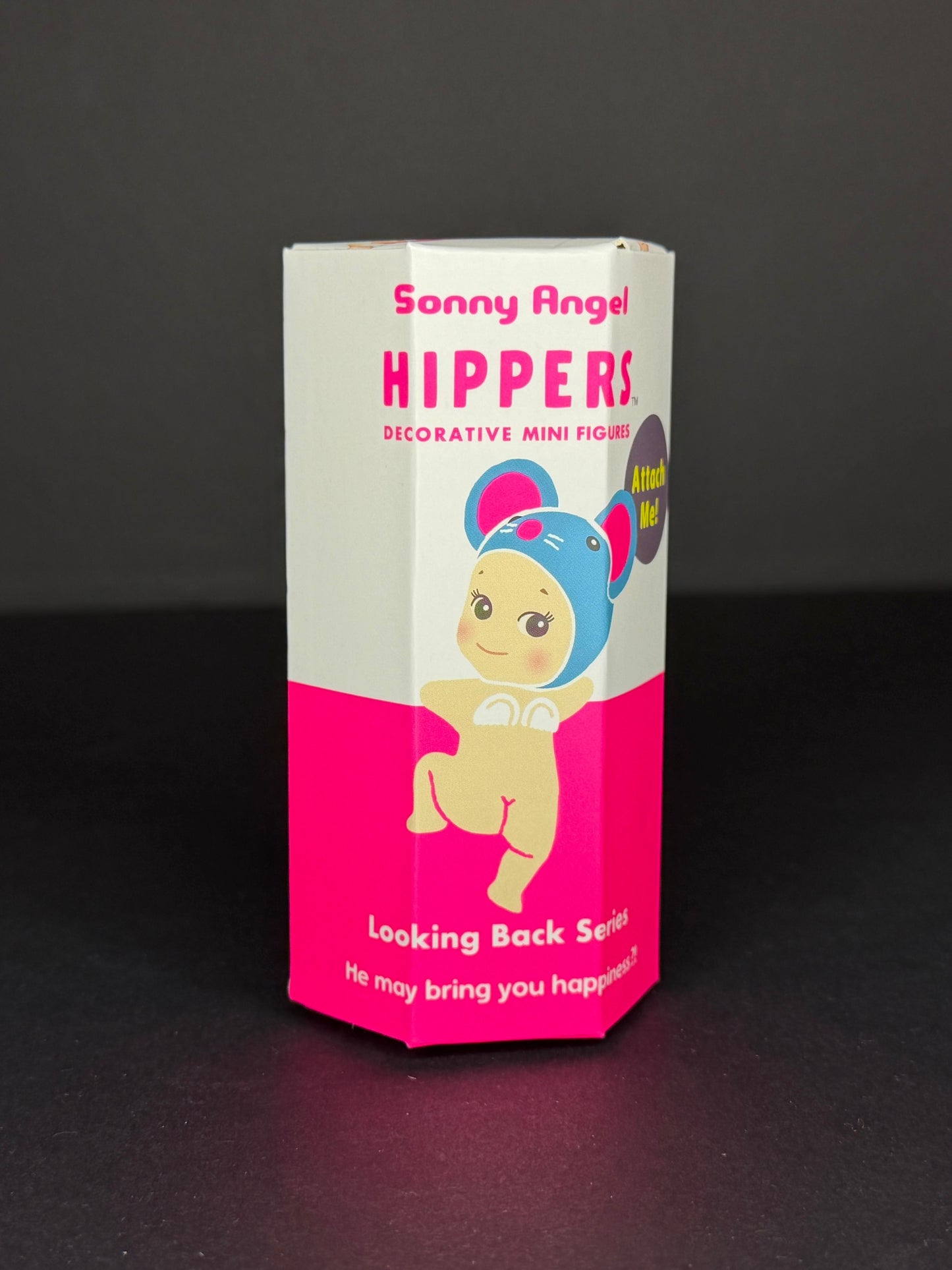 HIPPERS Sonny Angel Looking Back Series (Blind Box)
