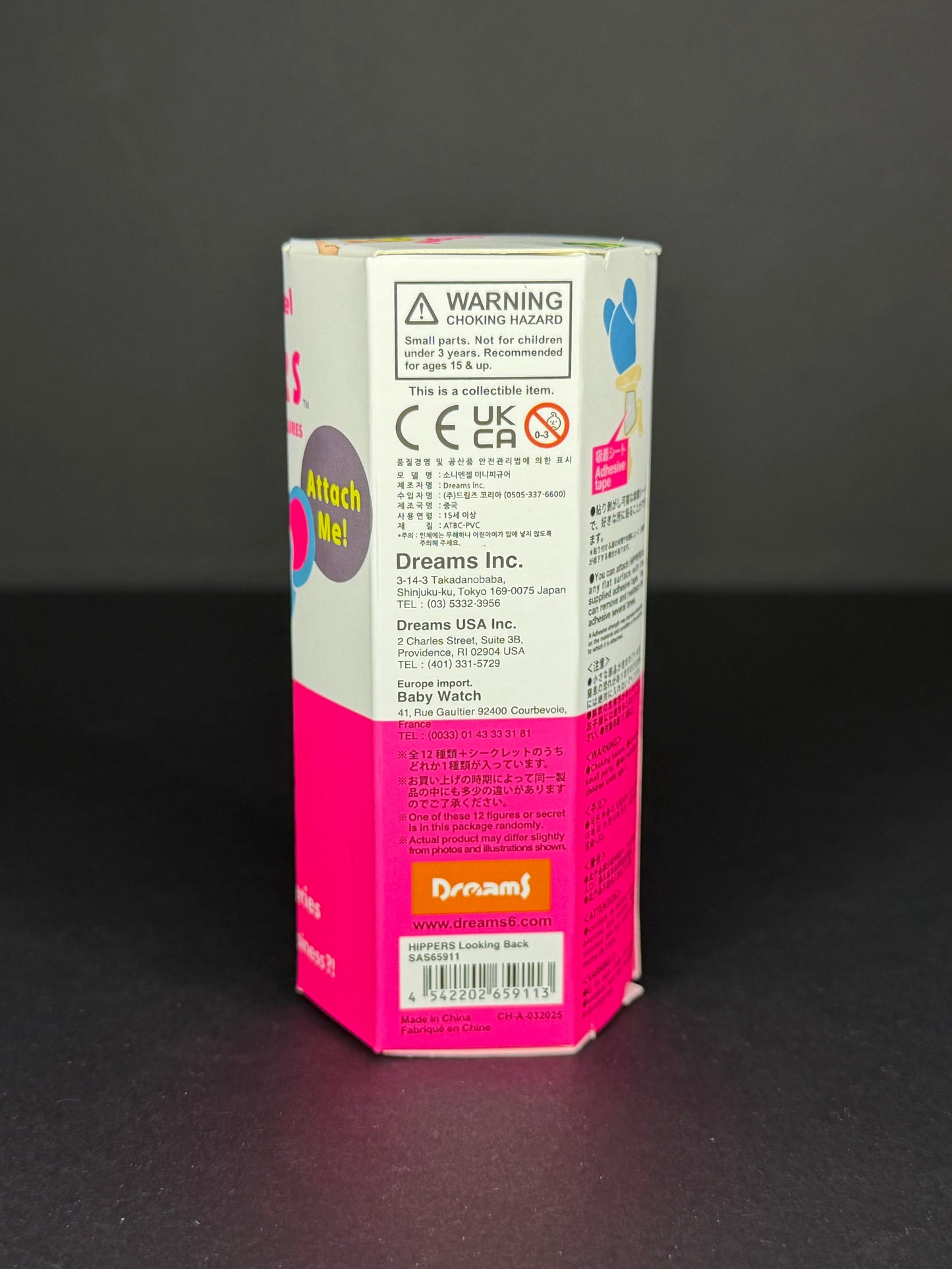 HIPPERS Sonny Angel Looking Back Series (Blind Box)