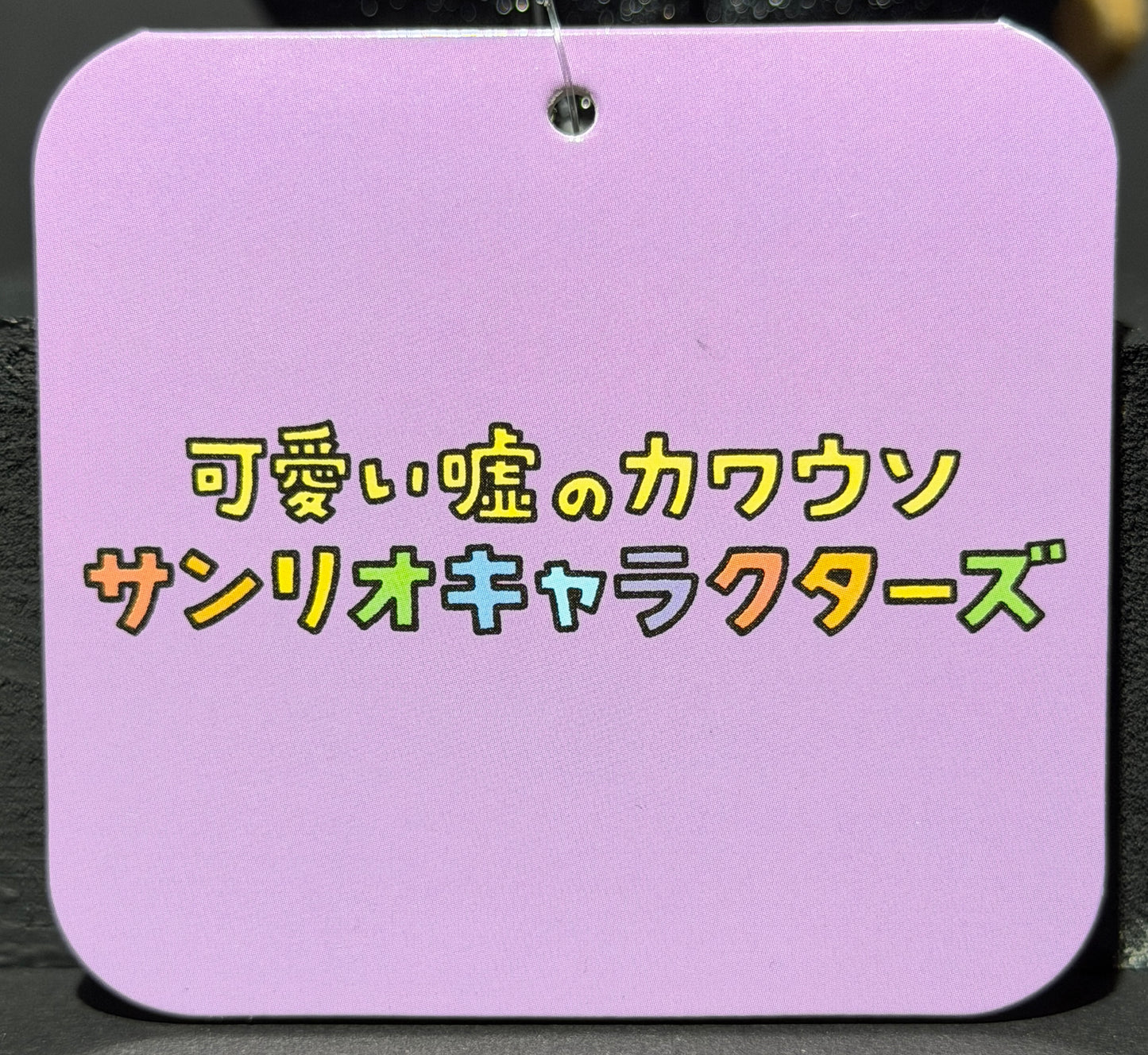 Cute Lie Otter x Sanrio Characters Mascot Plush - Kuromi